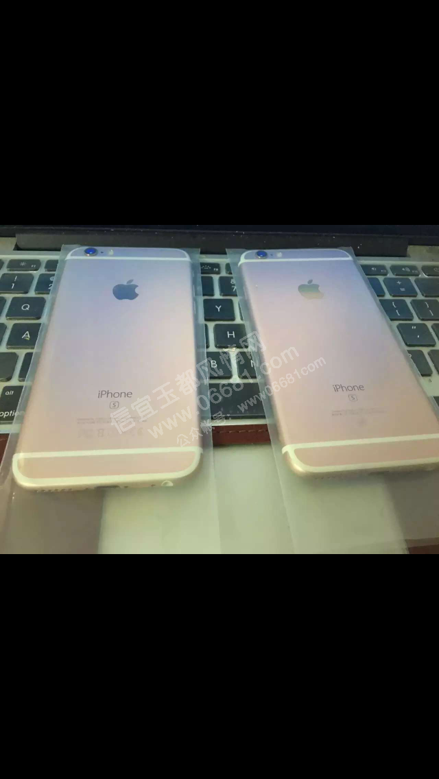IMG_7053.PNG