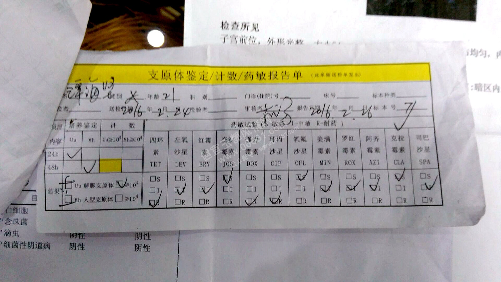 QQͼƬ20160403020426.jpg
