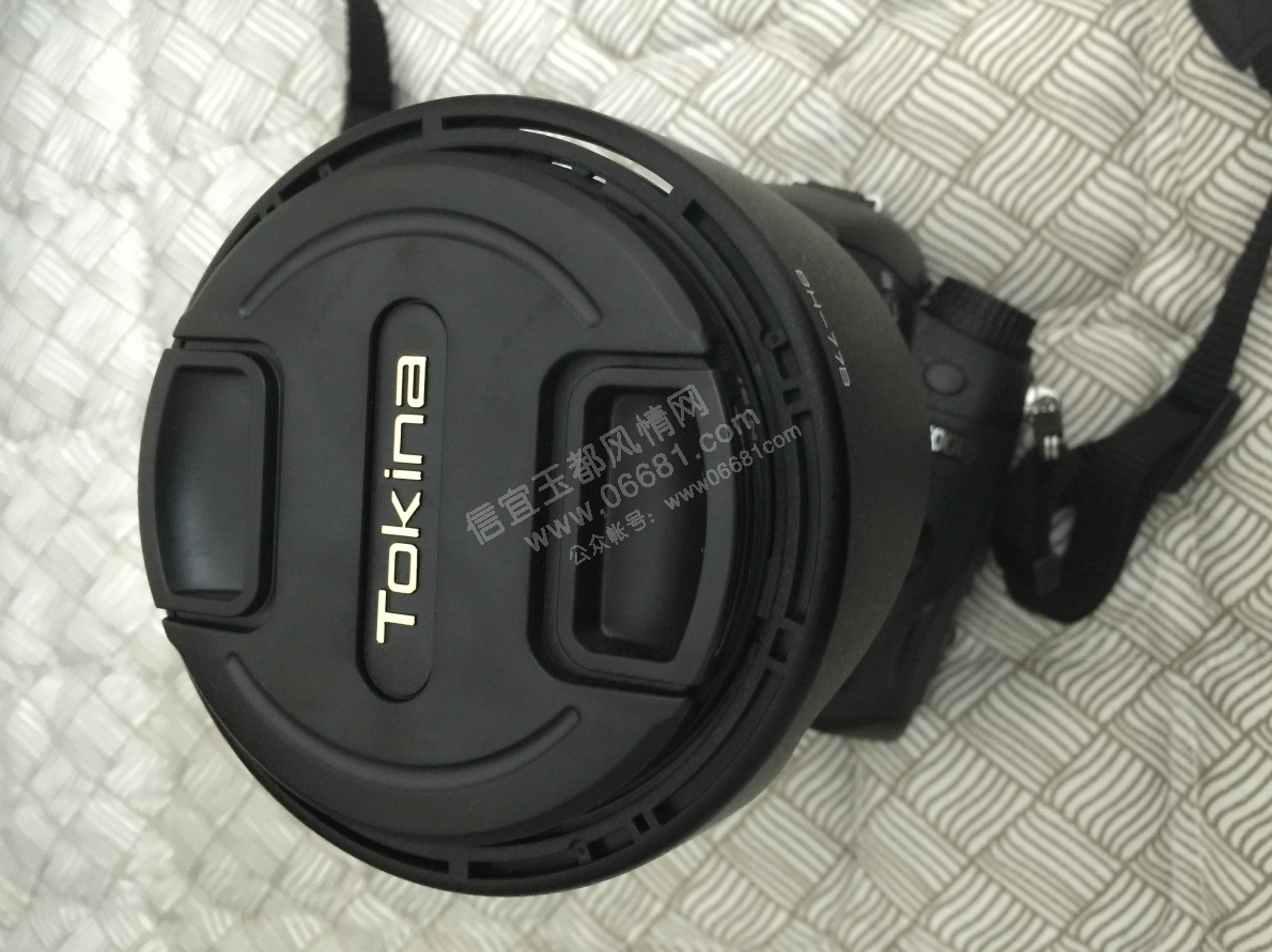 QQImage_282579359.jpg