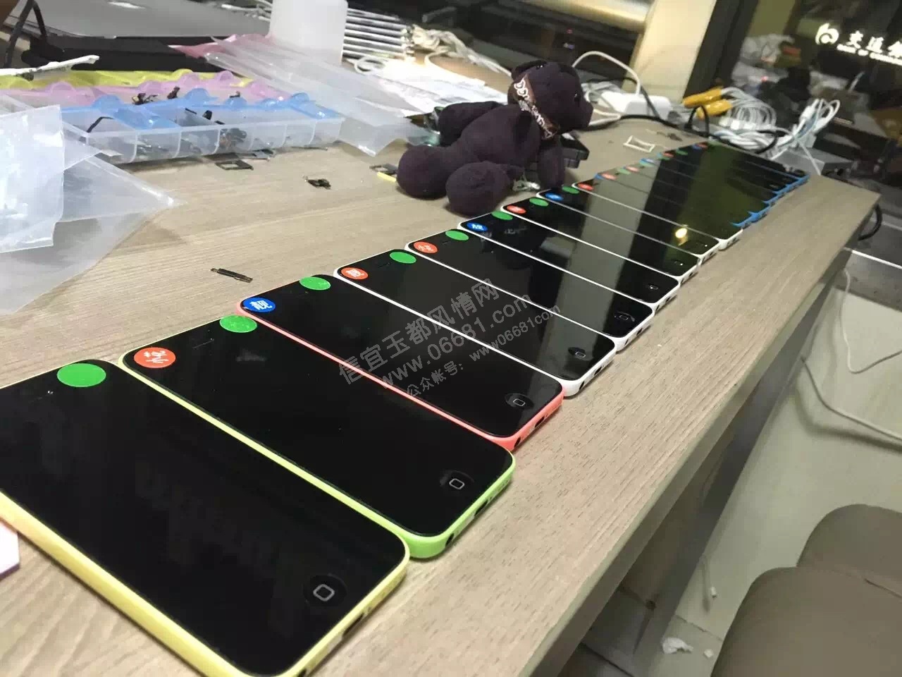 IMG_4135.JPG