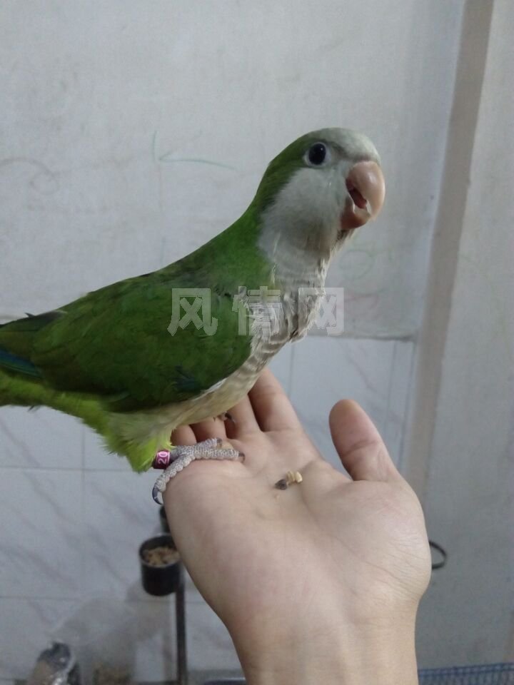 QQͼƬ20160530153129.jpg