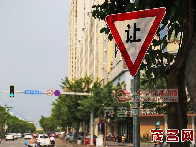 04.jpg
