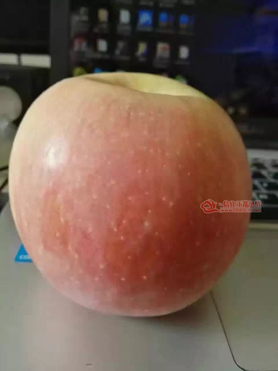6.jpg