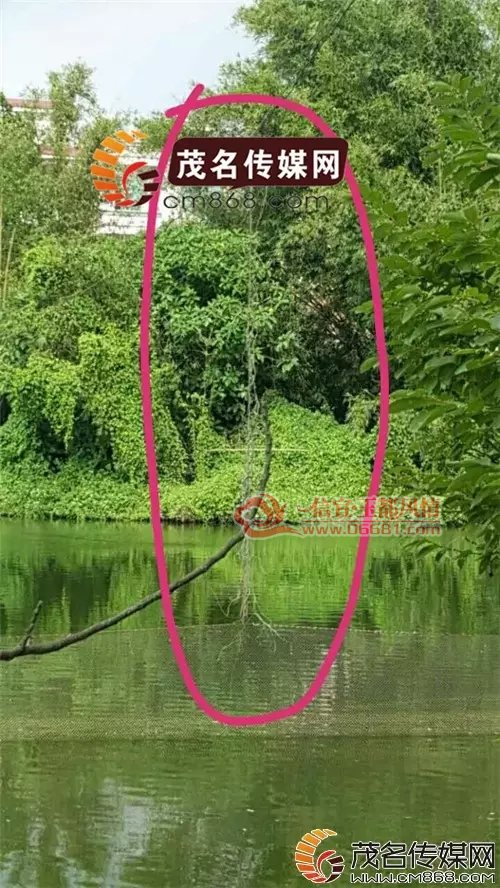 4.webp.jpg
