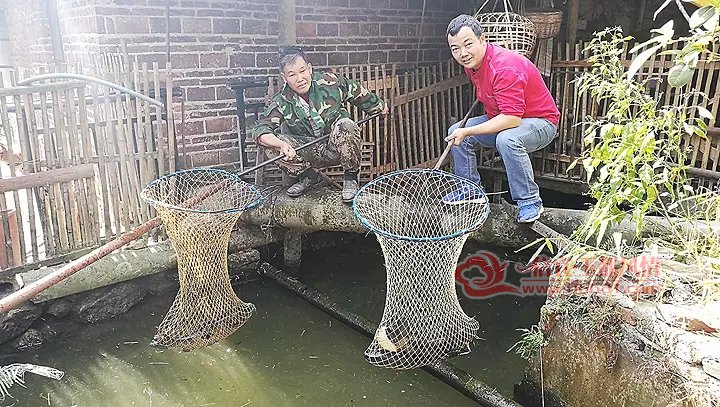 5.webp.jpg