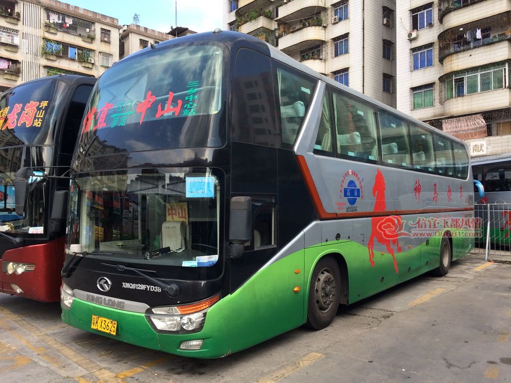 3625.jpg