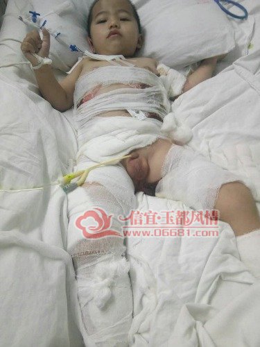 mmexport1486788015977.jpg