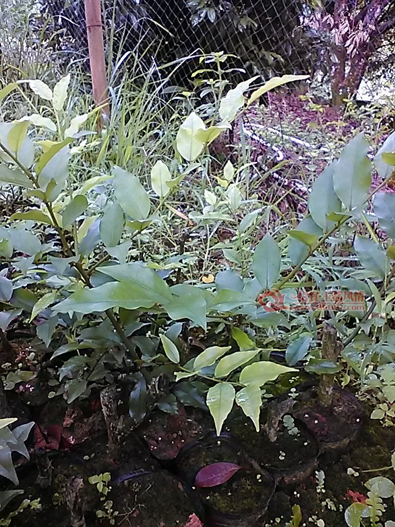 ��Ƭ 058.jpg