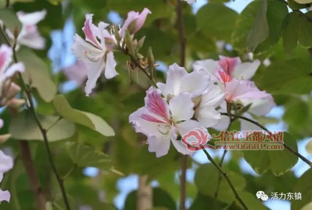7.webp.jpg
