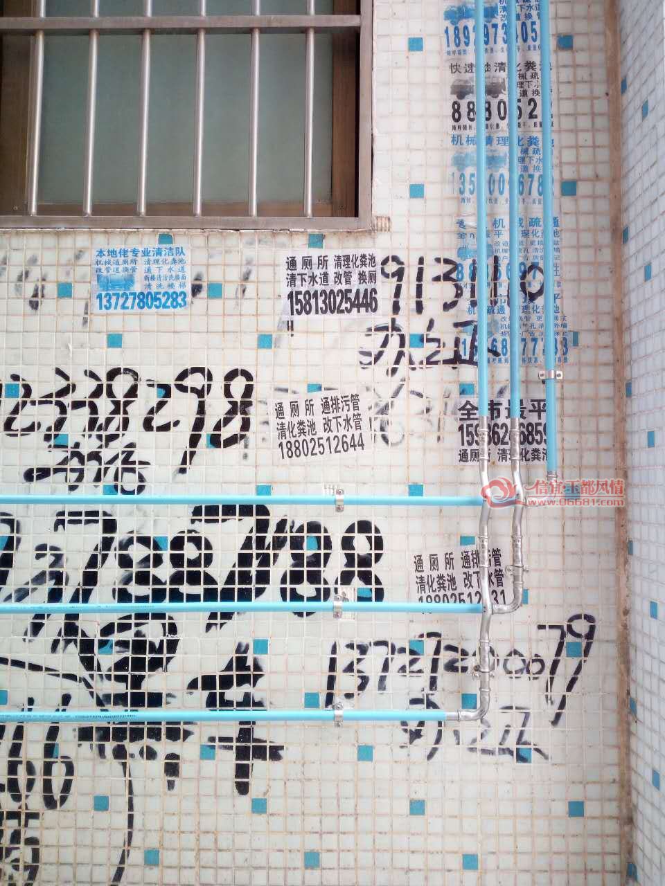 837775362.jpg