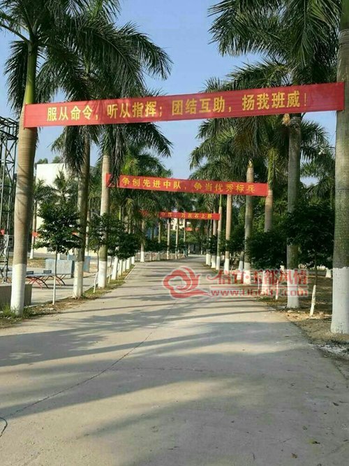 15.jpg