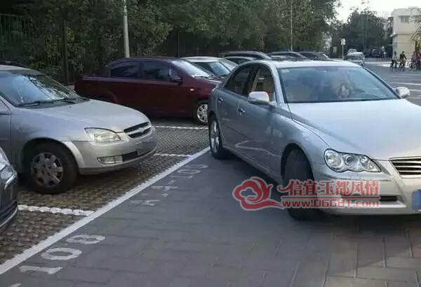 mmexport1503812987039.jpg