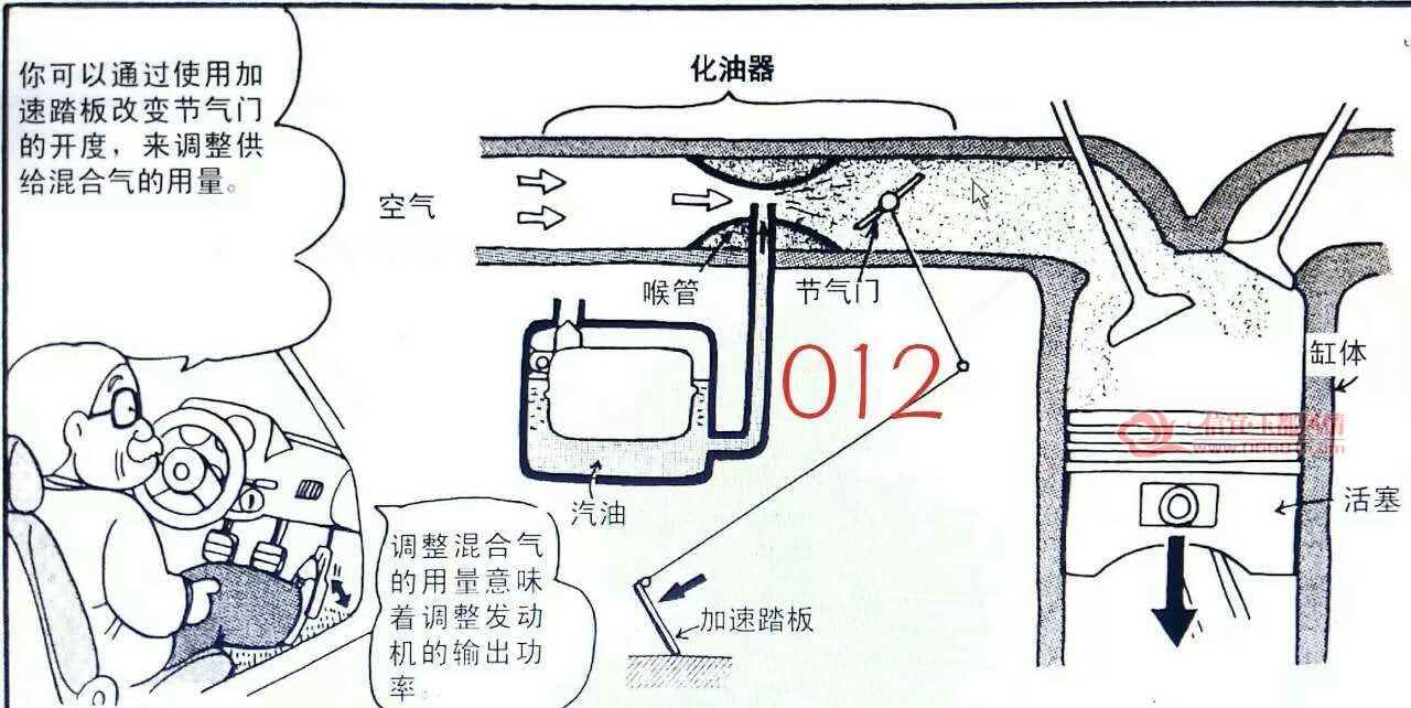 12.jpg