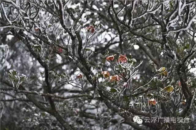 ΢��ͼƬ_20171120105730.jpg