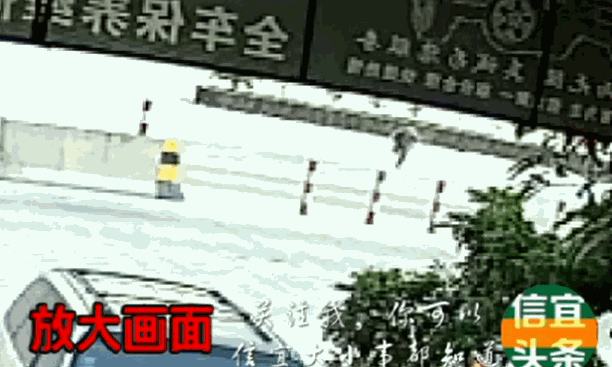 001.gif