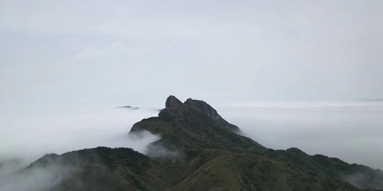 62.jpg