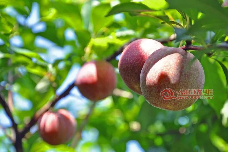 67.jpg