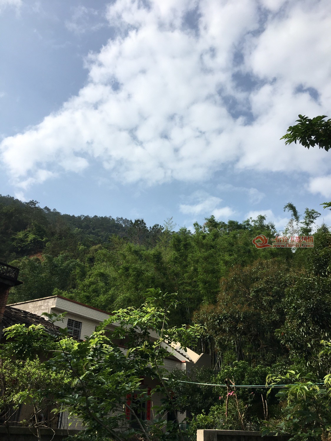 3DCEB9C1-7186-4EF5-A787-009104A374E9.jpeg