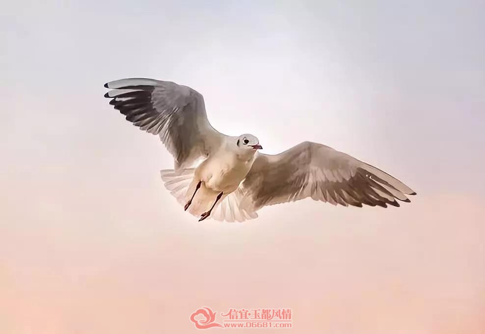 ΢��ͼƬ_20180627094719.jpg