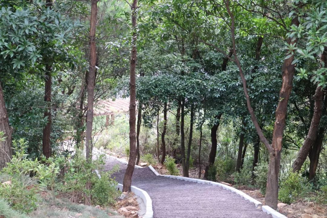 ΢��ͼƬ_20180713144804.jpg
