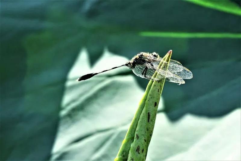 ΢��ͼƬ_20180718154524.jpg