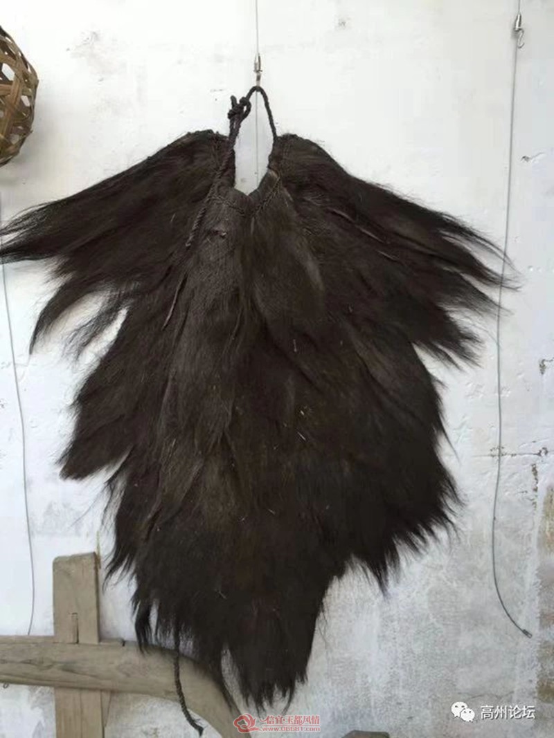 ΢��ͼƬ_20181203104238.jpg