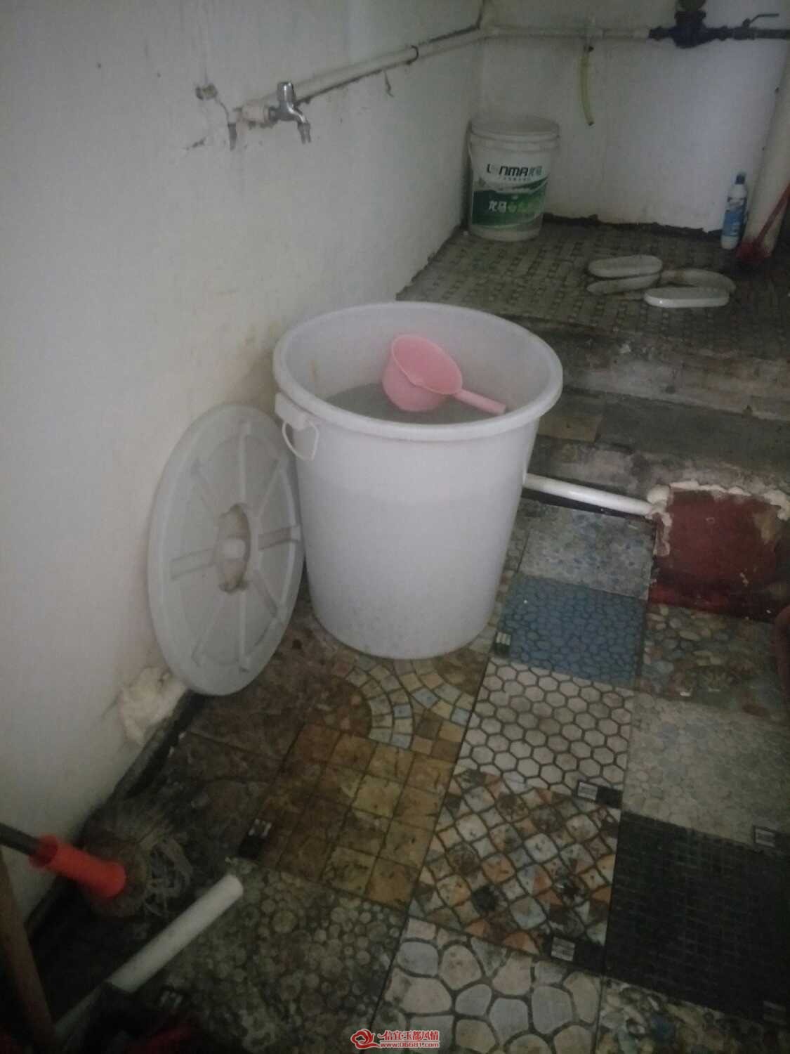 1543555335398.jpg