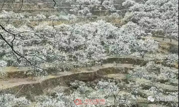 ΢��ͼƬ_20181205155619.jpg