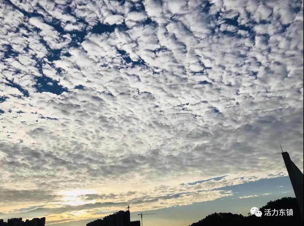 ΢��ͼƬ_20181218162057.jpg