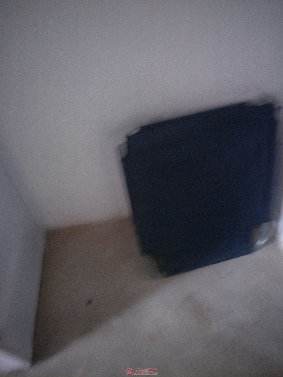 IMG20181228110531.jpg