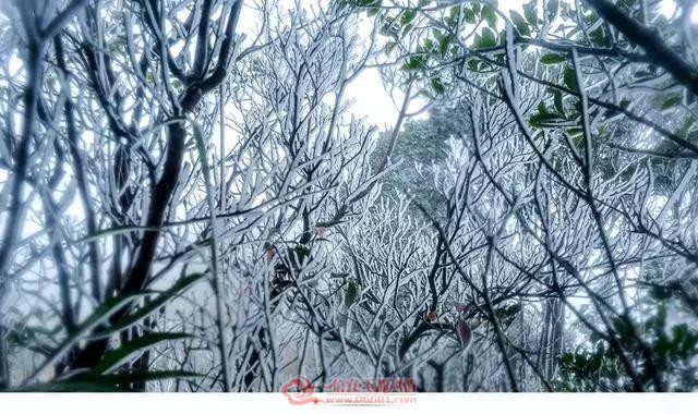 ΢��ͼƬ_20190107143053.jpg