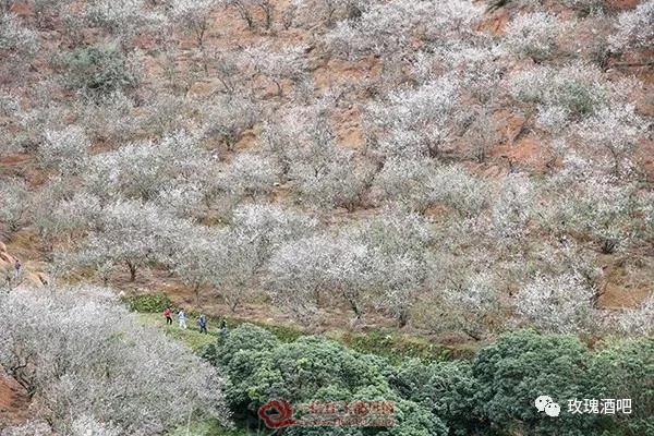 ΢��ͼƬ_20190109144548.jpg