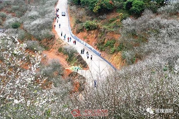 ΢��ͼƬ_20190109144600.jpg
