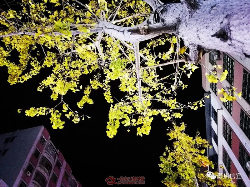 ΢��ͼƬ_20190109145811.jpg