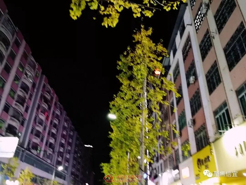 ΢��ͼƬ_20190109145809.jpg