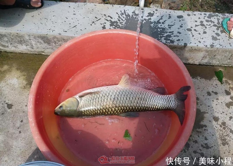 ΢��ͼƬ_20190114151653.jpg