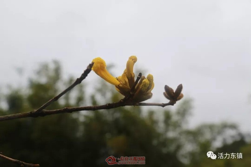 ΢��ͼƬ_20190222113604.jpg