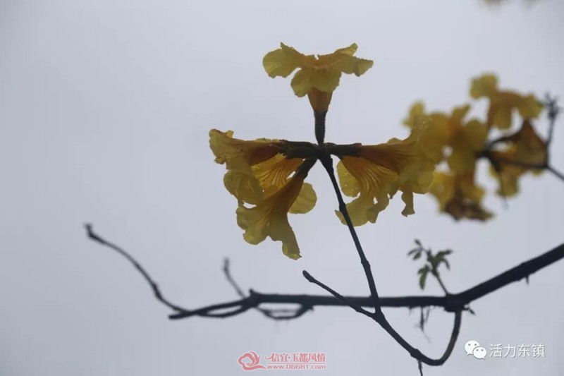 ΢��ͼƬ_20190222113611.jpg