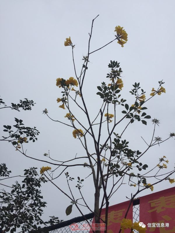 ΢��ͼƬ_20190225094536.jpg
