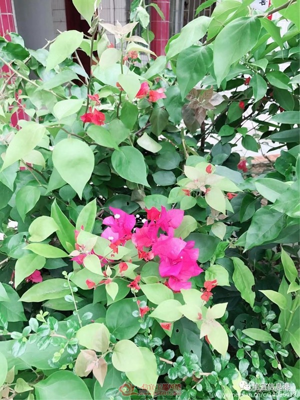 ΢��ͼƬ_20190225094544.jpg