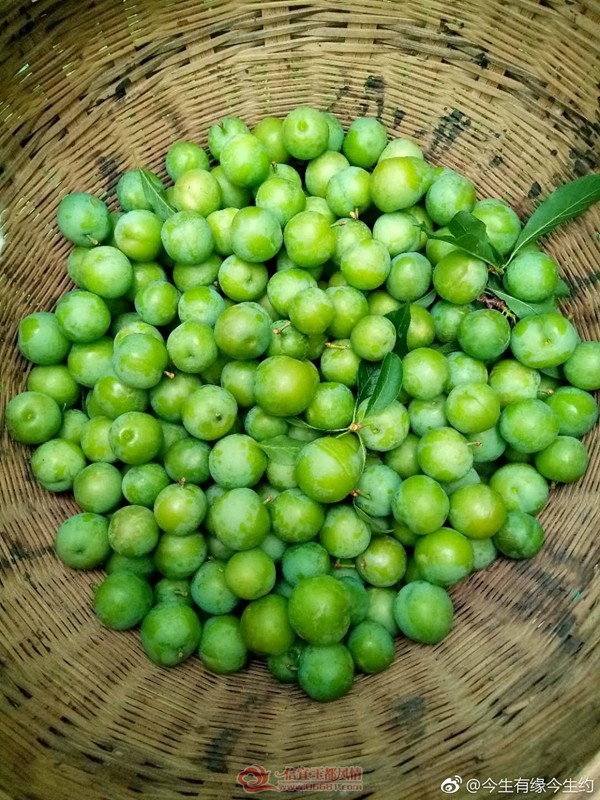 ΢��ͼƬ_20190408152752.jpg