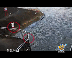 ΢��ͼƬ_20190612164247.gif