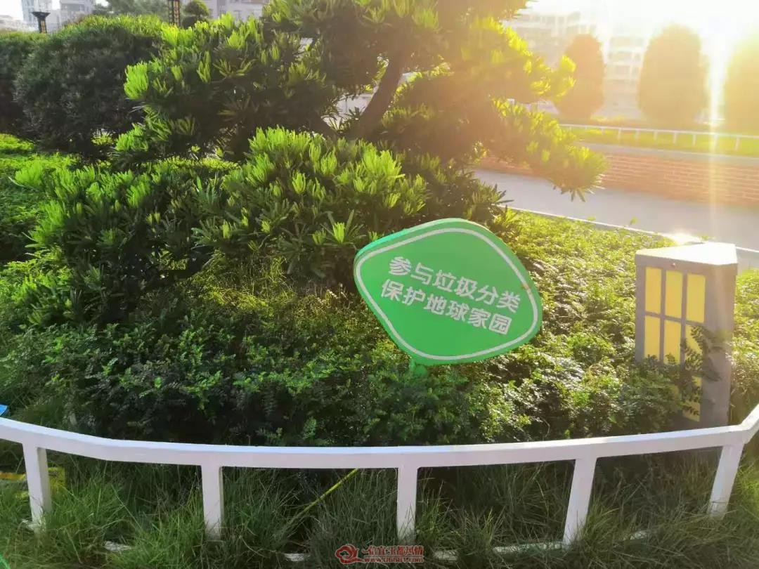 ΢��ͼƬ_20190726110201.jpg