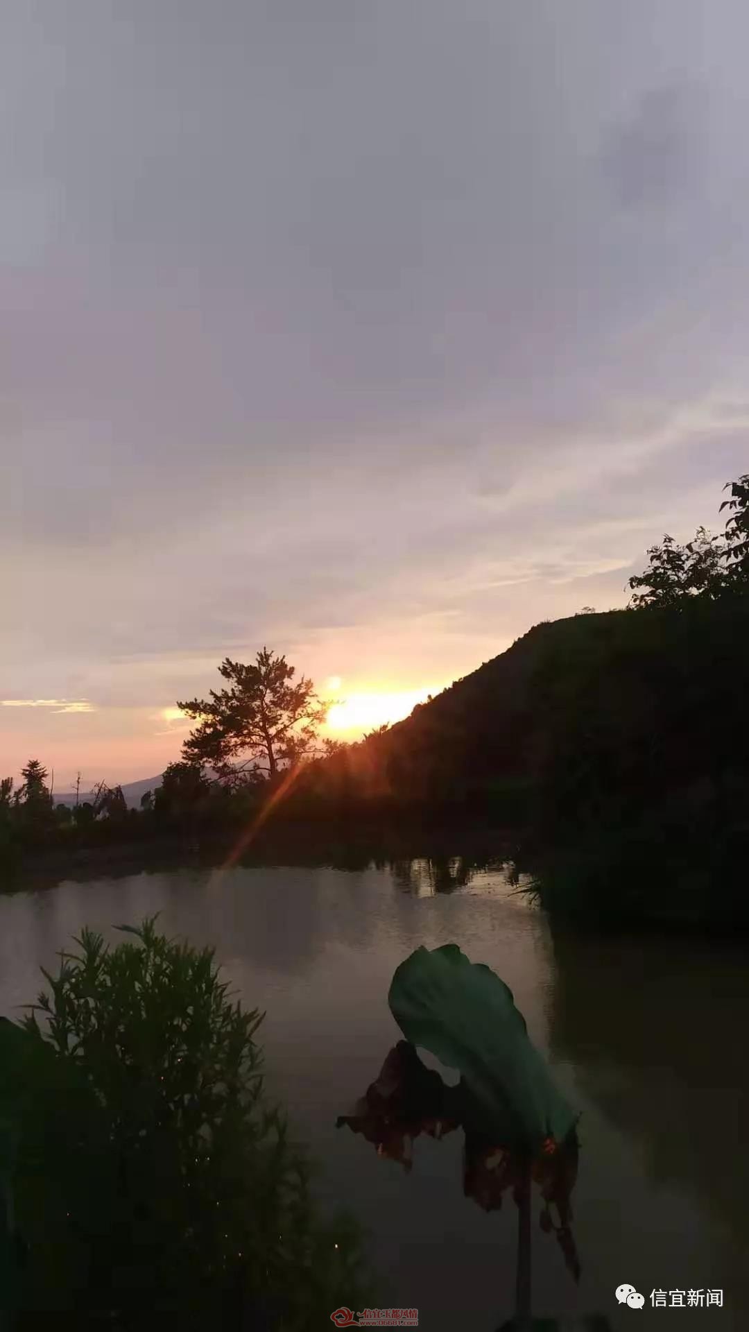 ΢��ͼƬ_20190731151440.jpg