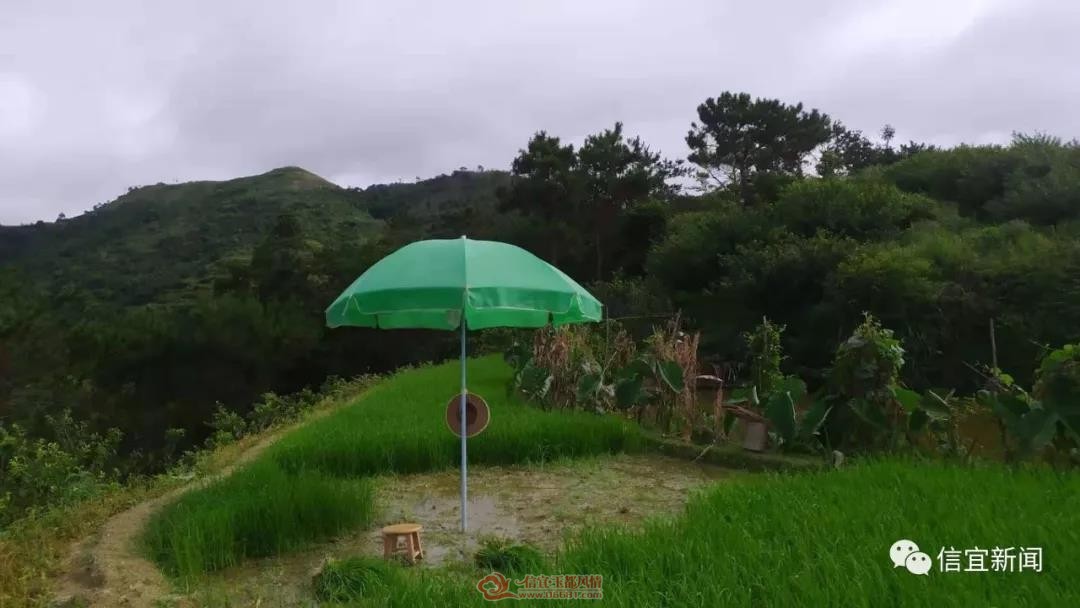 ΢��ͼƬ_20190731151507.jpg