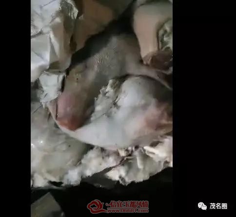 ΢��ͼƬ_20190811095514.jpg