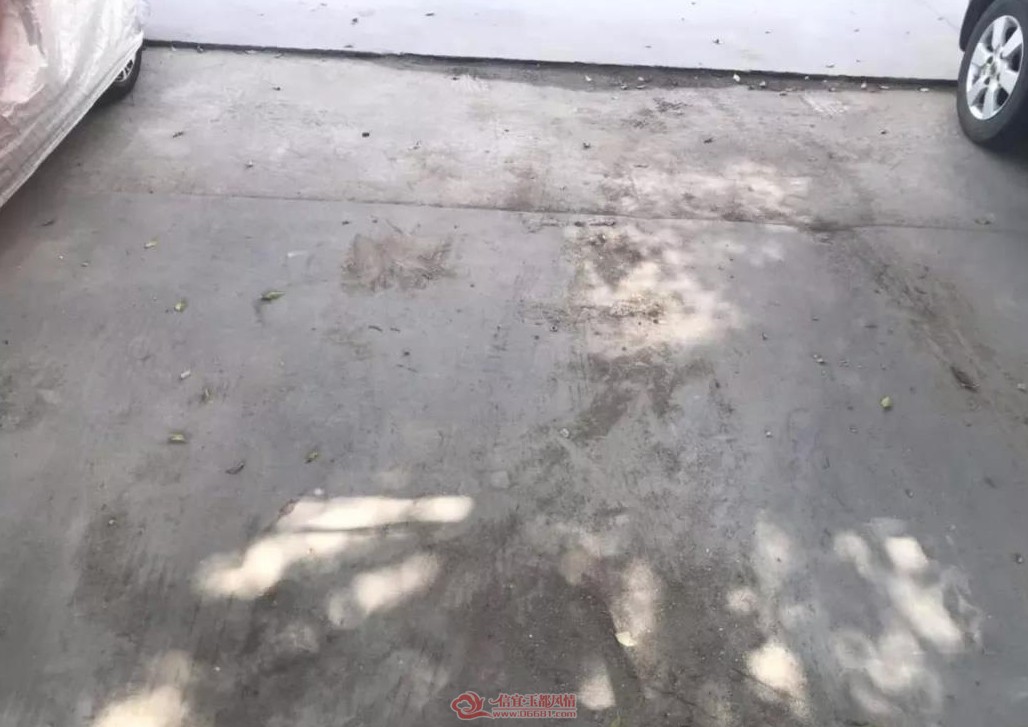 ΢��ͼƬ_20190825085309.jpg