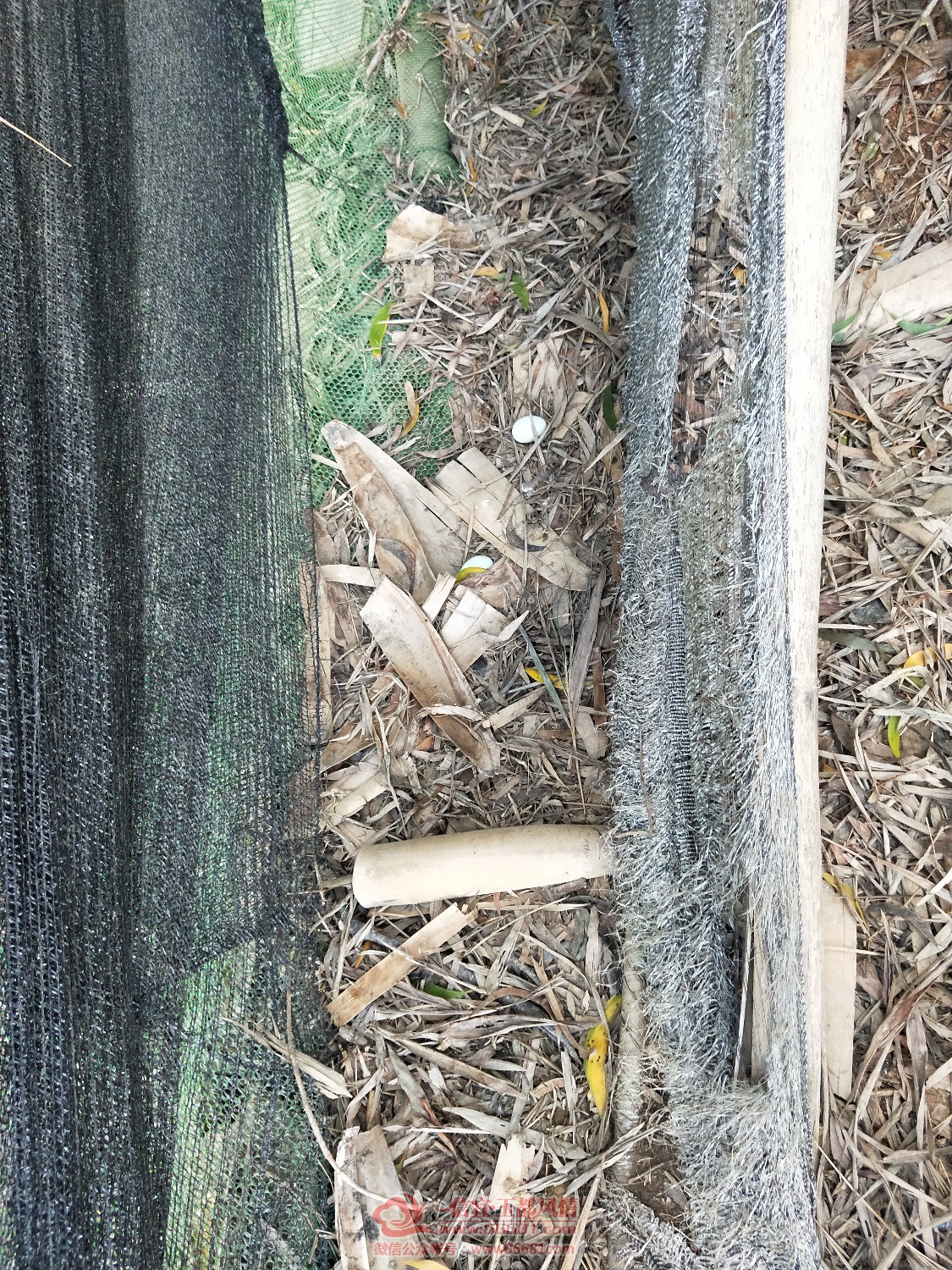 IMG20200310082901.jpg