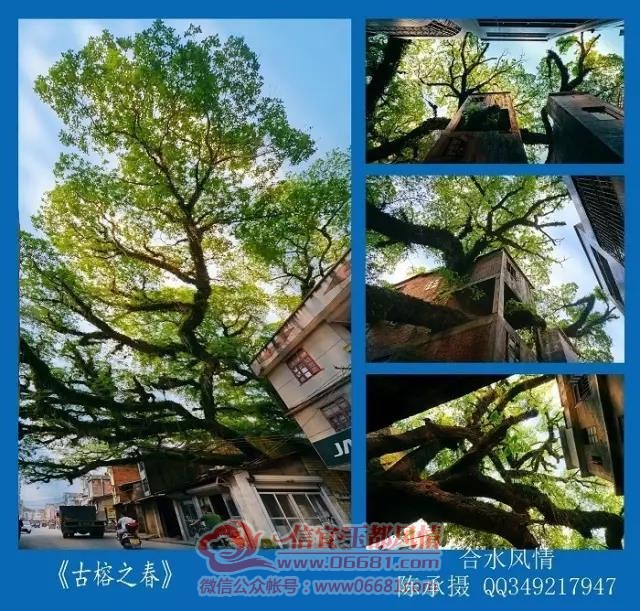΢��ͼƬ_20200428092850.jpg