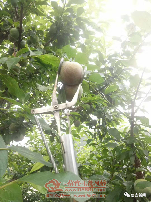 ΢��ͼƬ_20200509090018.png